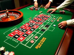 u209418427 Bingo